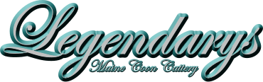 Legendarys Maine Coon Cattery
